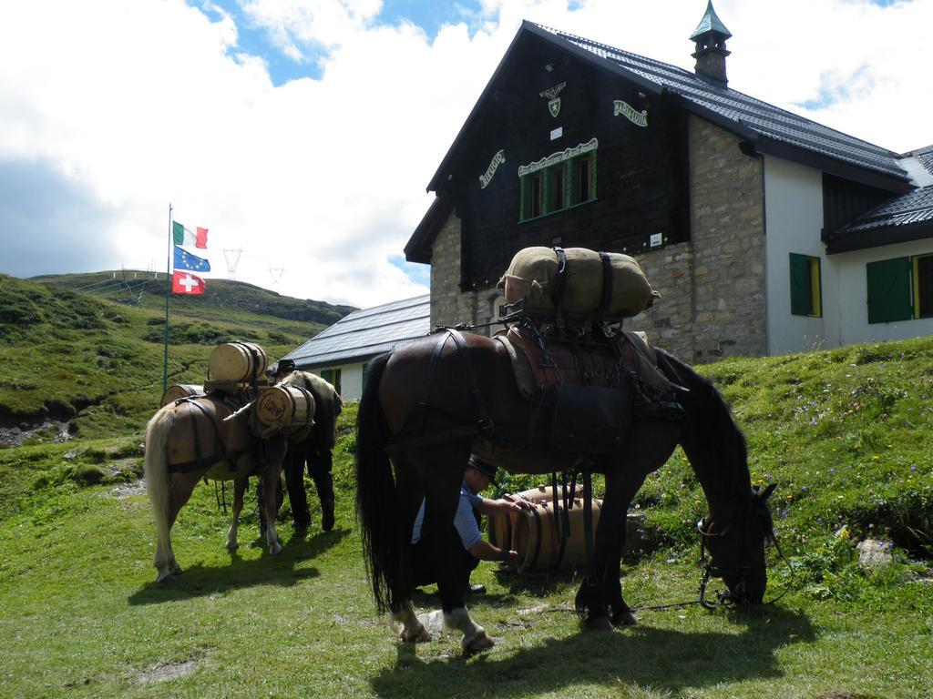 B&B Monte Giove Formazza Dış mekan fotoğraf