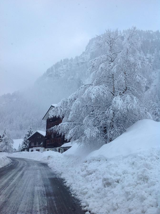 B&B Monte Giove Formazza Dış mekan fotoğraf
